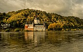 Herbststimmung am Rhein, Inselburg Pfalzgrafenstein, Kaub, Oberes Mittelrheintal, Rheinland-Pfalz, Deutschland