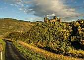 Autumn mood on the Rhine, view over vineyards to the Schönburg, Upper Middle Rhine Valley, Rhineland-Palatinate, Germany