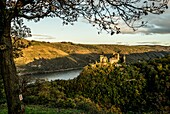 Evening atmosphere on the Rhine, Schönburg and its silhouette, Oberwesel, Upper Middle Rhine Valley, Rhineland-Palatinate, Germany