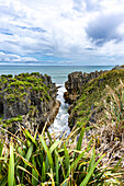 Views of Pancake Rocks and Blowholes on  New Zealnds South Island