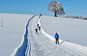 Cross-country skiing near Humbach, Tölzer Land, winter in Bavaria, Germany
