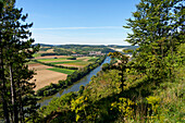 Landscape and vineyards between Himmelstadt am Main and Stetten with a view of the Main valley, Main-Spessart district, Lower Franconia, Bavaria, Germany