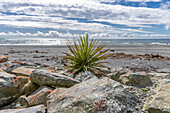 View of the Tasman Sea fro the beach at Hokitika New Zealand