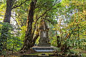 Yod Doi Nature Trail mit dem King Inthanon Memorial Shrine, Doi Inthanon Nationalpark, Chiang Mai, Thailand, Asien
