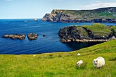 Irland, County Donegal, Glencolumcille