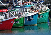 Ireland, County Donegal, ships in Greencastle harbor