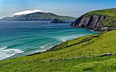 Irland, County Kerry, Dingle Halbinsel, Blasket' View, Slea Head Drive, im HIntergrund Great Blasket Island