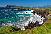 Irland, County Kerry, Dingle Halbinsel, Blasket' View, Slea Head Drive, beim View Point Waymont, Clogher Strand im Hintergrund