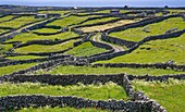 Ireland, County Galway, Aran Islands, Inishmaan Island, stone walls