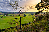 Weinberge und Muschelkalkfelsen am Naturschutzgebiet Hammelberg bei Hammelburg, Landkreis Bad Kissingen, Unterfranken, Franken, Bayern, Deutschland