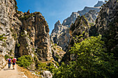 Hiking trail through the Cares Gorge, Rio Cares, Picos de la Europa National Park, Cain, Castilla y León, Cantabria, Northern Spain, Spain