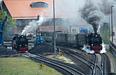 Harz narrow-gauge railways; historic train leaves the train station in Werningerode, Harz, Saxony-Anhalt, Germany at full steam