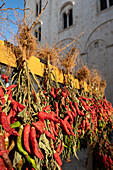 Verkaufsstand mit Pimento Chilischoten bei der Kathedrale San Sabino, Bari, Apulien, Italien, Europa