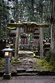 Blick auf ein torii mit Moos im Friedhof Okunoin, Okuno-in, Koyasan, Koya, Ito District, Wakayama, Japan