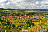 Blick von den Weinbergen auf Thüngersheim am Main, Landkreis Main-Spessart, Unterfranken, Bayern, Deutschland                            