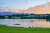 Forggensee im Abendlicht, Allgäuer Alpen, Schwangau, Schwaben, Allgäu, Bayern, Deutschland