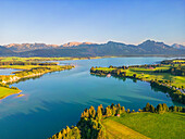 Aerial view of Forggensee in the evening light, Allgäu Alps, Ostallgäu, Swabia, Alps, Prealps, Bavarian Alps, Allgäu, Swabia, Upper Swabia, Northern Limestone Alps, Bavaria, Germany