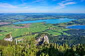 View from Tegelberg to Forggensee and Bannwaldsee, Ammergau Alps, Schwangau, Swabia, Alps, Prealps, Bavarian Alps, Allgäu, Swabia, Upper Swabia, Northern Limestone Alps, Bavaria, Germany