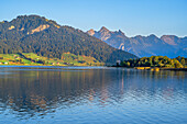 Sihlsee mit Fluebrig im Abendlicht, Einsiedeln, Glarner Alpen, Kanton Schwyz, Schweiz
