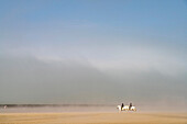 Reiter im Nebel am Strand Plage du Chatelet an der Côte d’Opale oder Opalküste in Tardinghen, Frankreich