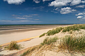 Dünen am Strand von Leffrinckoucke an der Côte d’Opale oder Opalküste, Frankreich