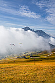 Gleitschirmflieger an der Seceda im Herbst, Grödnertal, Bozen, Südtirol, Italien