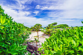 Einsamer Strand auf den Conflict-Inseln (auch Conflict Atoll), ein Atoll in der Salomonensee, Provinz Milne Bay, Papua-Neuguinea, Melanesien, Südsee