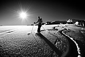 Frau auf Skitour fährt durch Pulverschnee mit Raureif, Bleicherhorn, Allgäuer Alpen, Schwaben, Bayern, Deutschland