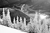 Verschneite Fichten mit Tiefblick aufs Leitzachtal, Breitenstein, Mangfallgebirge, Bayerische Alpen, Oberbayern, Bayern, Deutschland