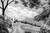 Feldweg leitet auf Kirche Santa Maria zu, Morinesio, Val Maira, Cottische Alpen, Piemont, Italien