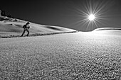 Woman on ski tour ascends through powder snow with hoarfrost, Kitzbühel Alps, Tyrol, Austria