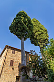 Walk in Monticchiello, Pienza, Siena Province, Tuscany, Italy