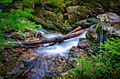 Am Rissbach near Bodenmais, Bavarian Forest, Bavaria, Germany, Europe