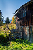 Alter Bauernhof, Detail, Südtirol, Italien, Europa