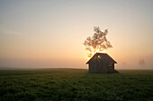 Hütte mit Baum, Sonnenaufgang im Kochelmoos, Kochel am See, Bayern, Deutschland, Europa