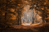 Wanderweg, der Andechser Höhenweg im Herbst, Bayern, Deutschland, Europa