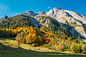 Goldener Herbst in der Eng, Hinterriß, Karwendel, Tirol, Österreich 