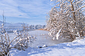 Winter am Staffelsee, Uffing, Oberbayern, Bayern, Deutschland