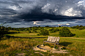 Ruhebank in einsamer Landschaft, Naturschutzgebiet Halbinsel Devin bei Stralsund, Ostseeküste, Mecklenburg-Vorpommern, Deutschland