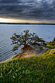 Naturschutzgebiet Halbinsel Devin bei Stralsund, Ostseeküste, Mecklenburg- Vorpommern, Deutschland