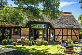  Museum Cafe in Gingst, Rügen, Baltic Sea Coast, Mecklenburg Western Pomerania, Germany 