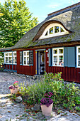  Cafe Tea Bowl, Prerow, Graal Müritz, Baltic Sea Coast, Mecklenburg Western Pomerania, Germany 