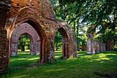 Klosterruinen Eldena in Greifswald, Ostseeküste, Mecklenburg-Vorpommern, Deutschland