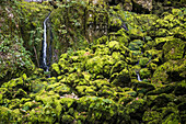 Quelle und Wasserfall, Source du Lison, Quelle des Lison, Nans-sous-Sainte-Anne, Département Doubs, Bourgogne-Franche-Comté, Jura, Frankreich