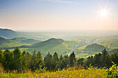  Morning mood at Föhrlenberg in the Palatinate Forest with a view of the Rhine plain, Ranschbach, Rhineland-Palatinate, Germany 