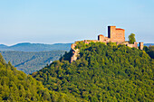  The Reichsburg Trifels in the Palatinate Forest, Annweiler, Rhineland-Palatinate, Germany 