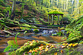  The Moosalbe in Karlstal in autumn, in the background the pavilion, Palatinate Forest, Trippstadt, Rhineland-Palatinate, Germany 