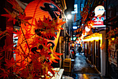 Berühmte Gasse mit verschiedenen Imbissständen, Omoide Yokocho, Shinjuku City, Tokio, Tokyo, Japan, Asien