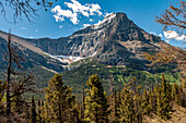 Landschaft, Bäume und Berge im Glacier National Park, Montana, USA