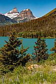 Landschaft mit See, Bäume und Berge im Glacier National Park, Montana, USA